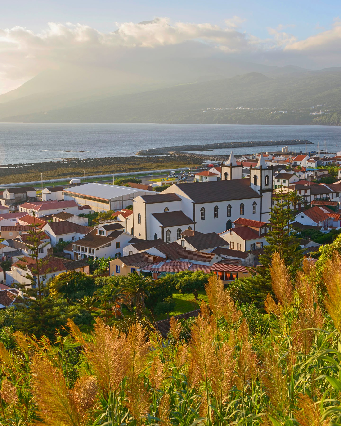 The island of Terceira Lajes, Portugal sits beyond flora in the foreground, with the surrounding waters and hilltops visible in the background.