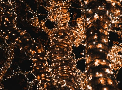 Christmas Garden Berlin