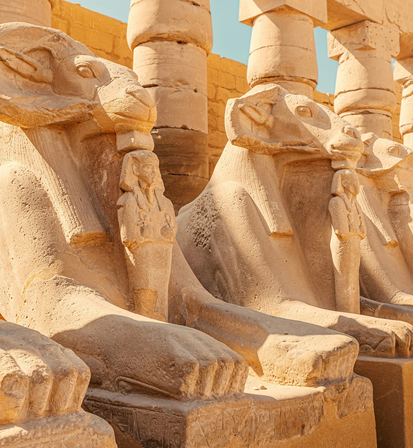 A close-up of sandstone, sphinx-like statues in Luxor, Egypt.