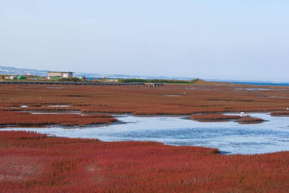 北海道・能取湖