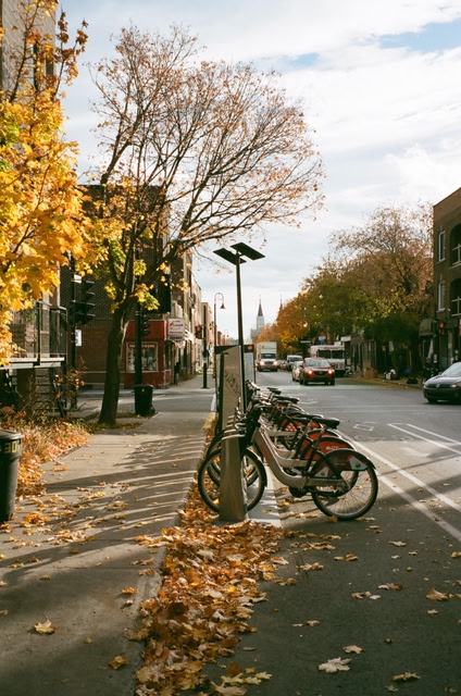 bikes parked along a main street in the Montreal neighbourhood of Verdun, in the south of the island.