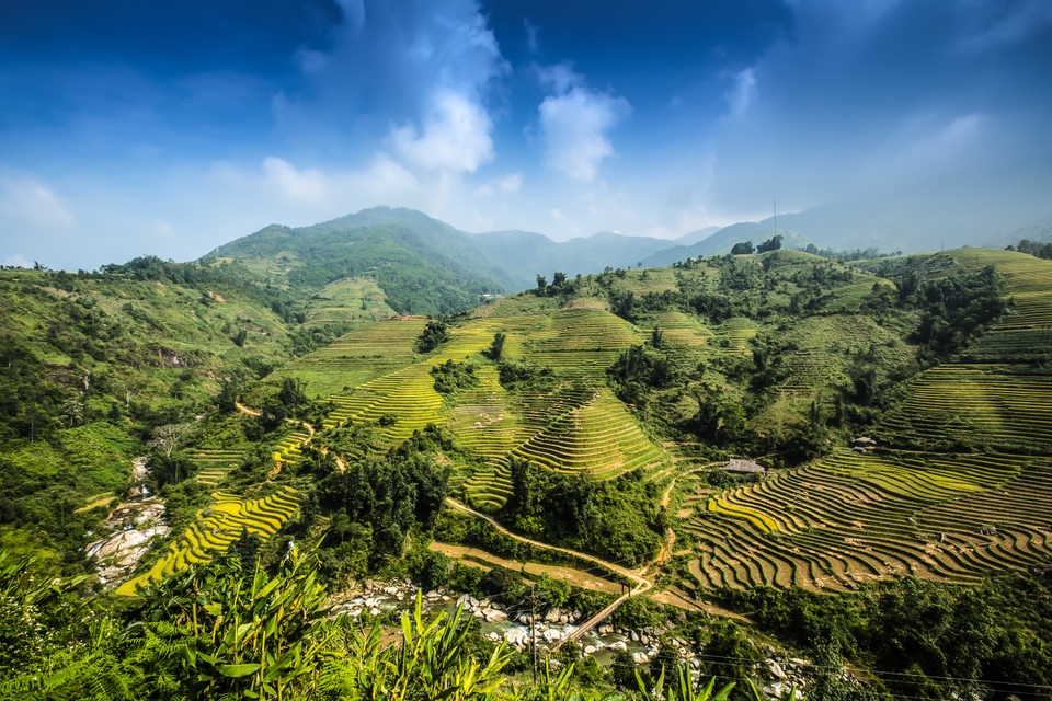 The gorgeous Banaue Rice Terraces
