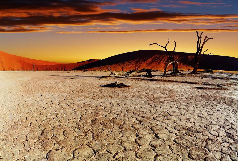 Deserto della Namibia, viaggio in Namibia