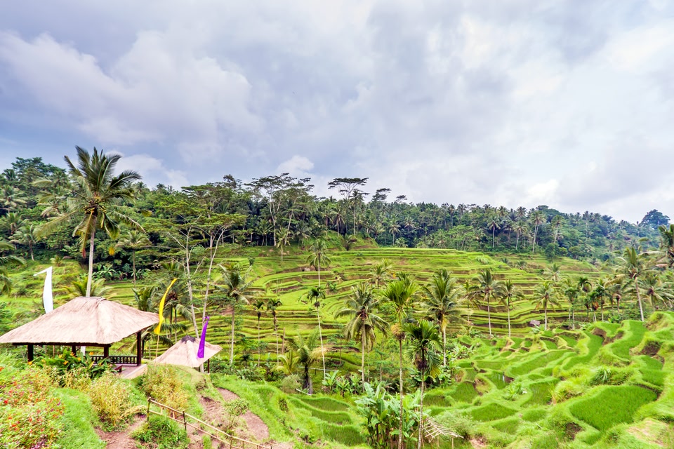 Vakantie Ubud Bali  ontdek deze luxe resorts hotels Skyscanner