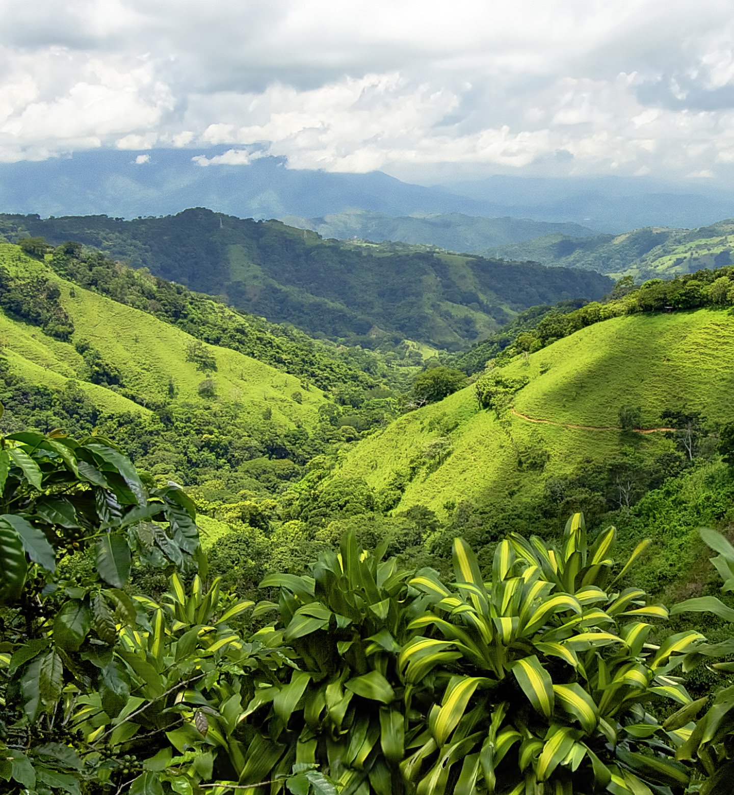 Rolling green hills and dense jungle stretch into misty mountains outside San José, Costa Rica.