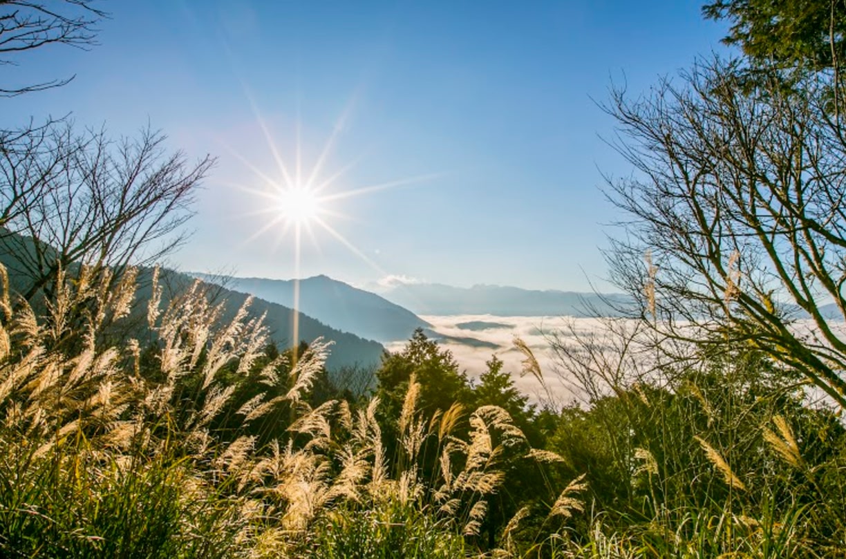 The ultimate Taiwan travel guide for Taipei, Kaohsiung, Taichung & more!