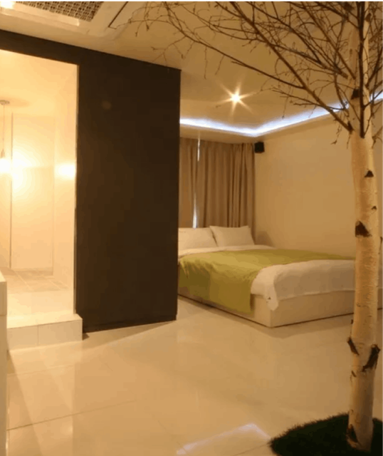 Inside a room at Dong Seoul Hotel, a pleasant view includes a lovely tree and a double bed adorned with crisp white sheets and a green throw