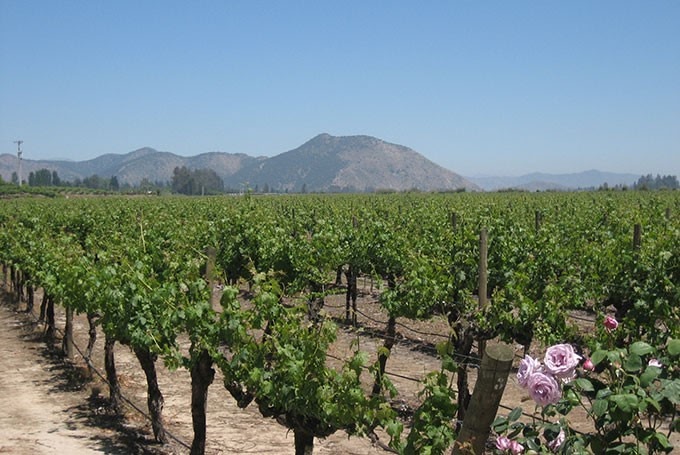 Where to go that's hot in January best destinations for January sun