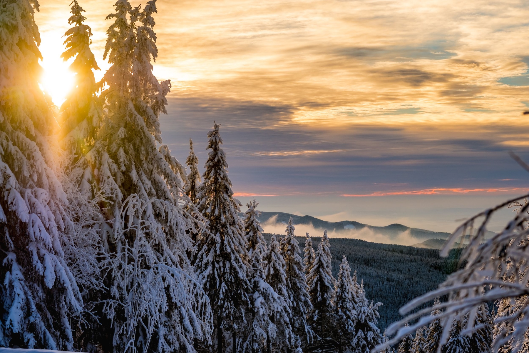 Winterurlaub im Harz: magische Naturlandschaften