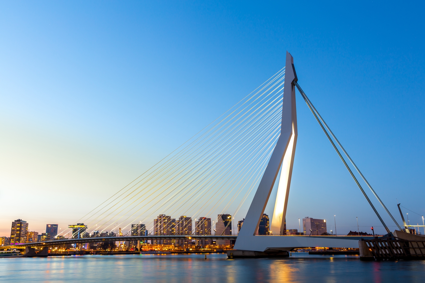 peunte erasmo ciudad de holanda roterdam