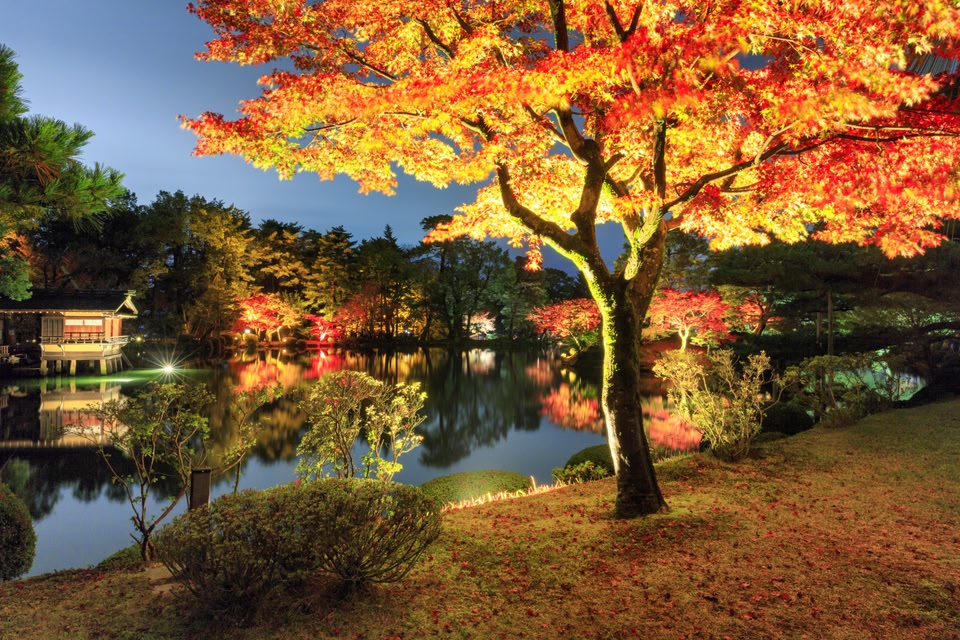 Autumn Illumination at Kenrokuen Garden in Kanazawa, Japan