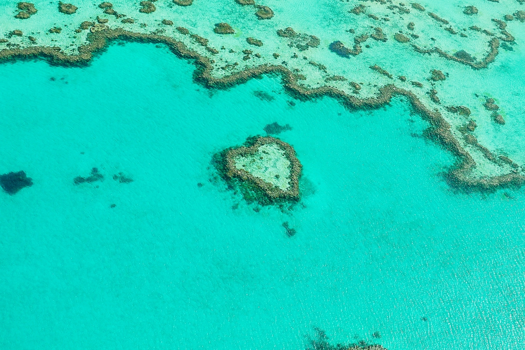 オーストラリア グレートバリアリーフのハートリーフ