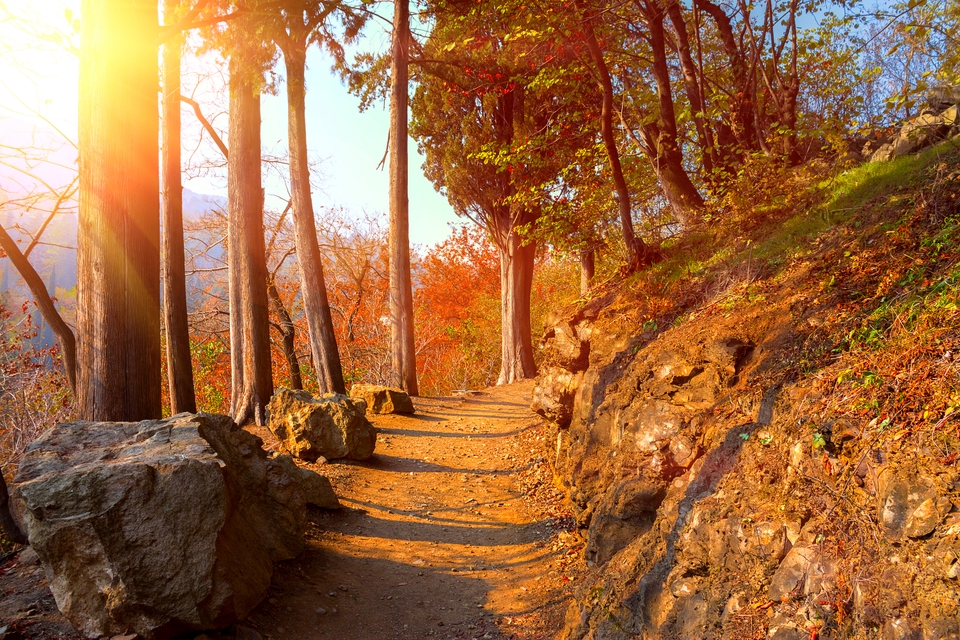 Tbilisi botanical gardens in Autumn