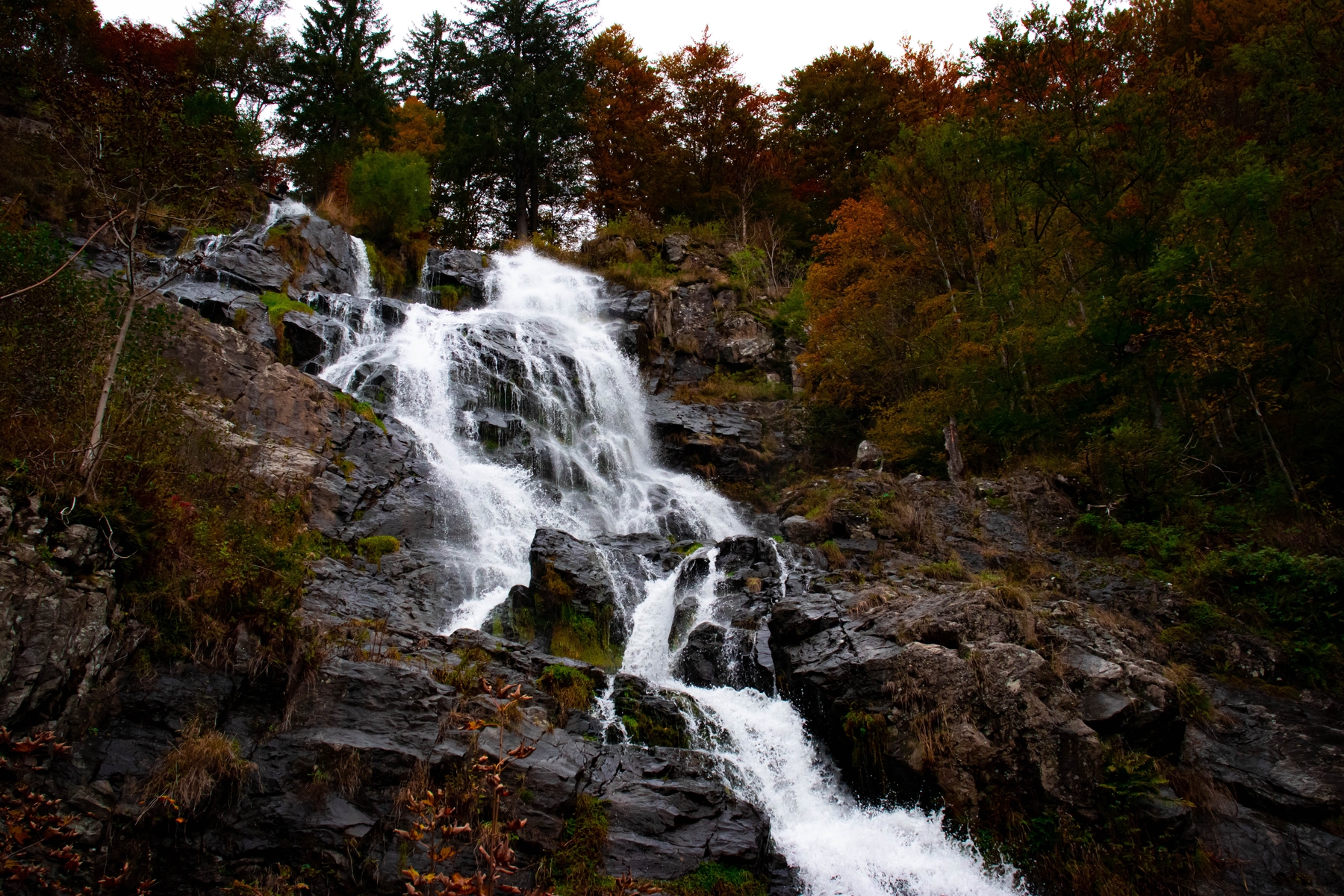 Todtnauer Wasserfälle