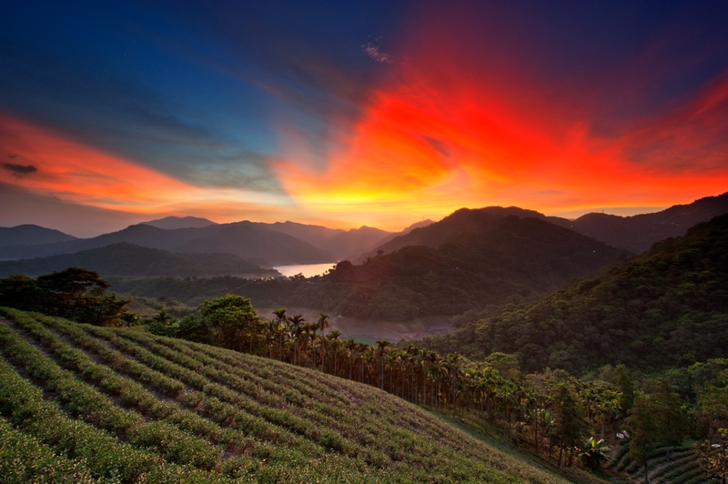 台灣美景