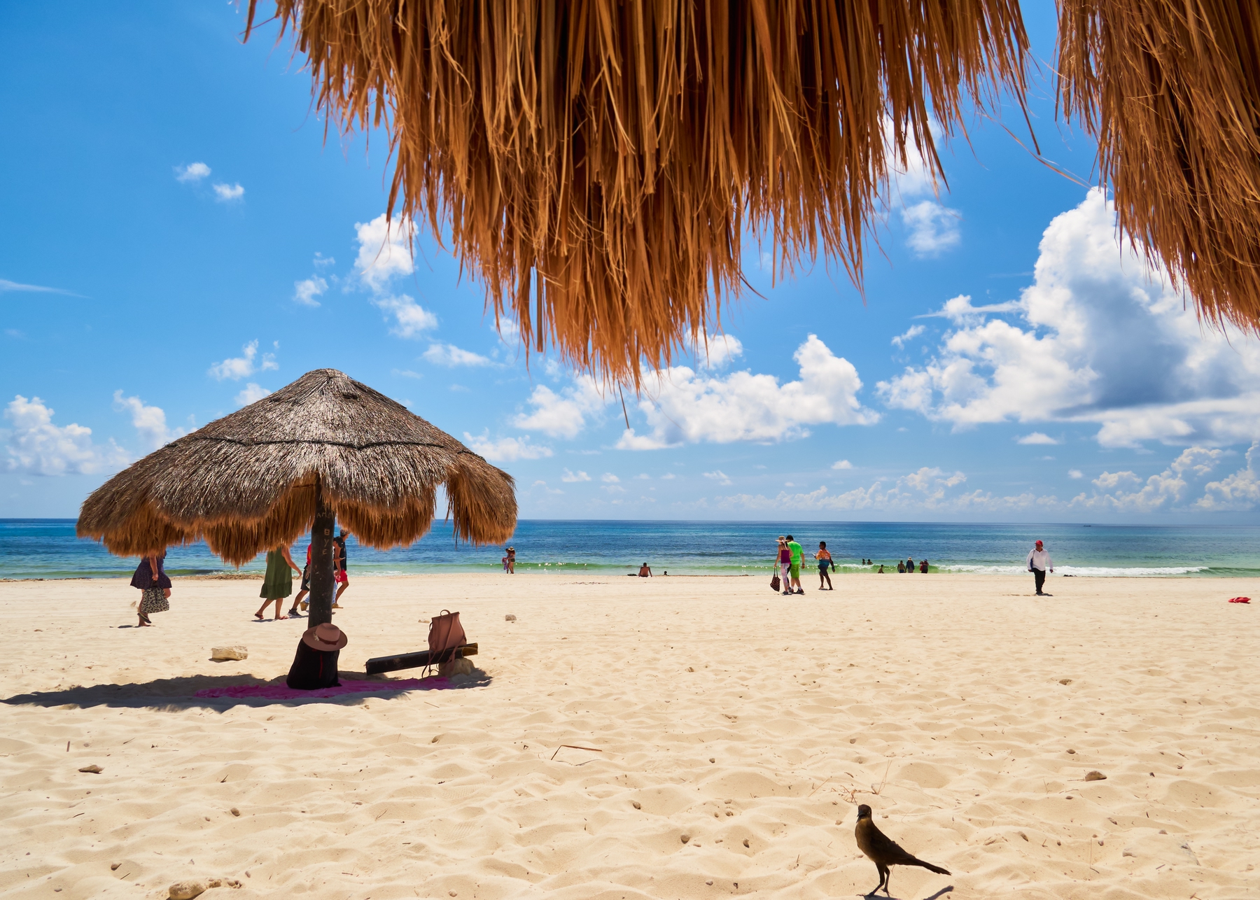 Cheap holidays on the beach in 2021
