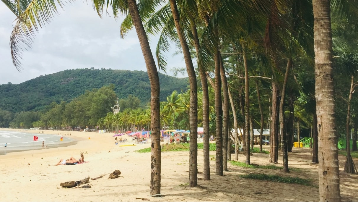 a beach with many palm trees in Phuket during daytime