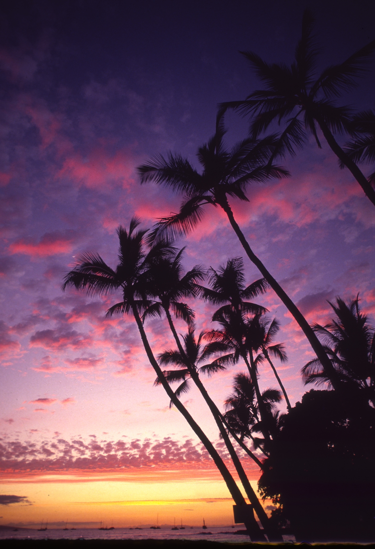 Die beliebtesten Städte der USA: Honolulu, Hawaii