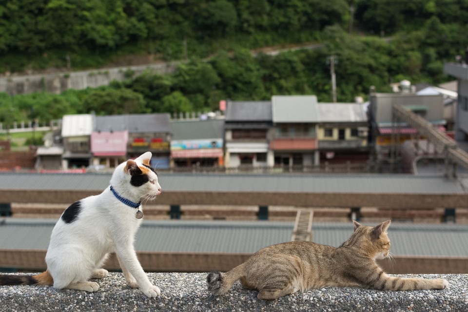 台北(台湾)猴硐