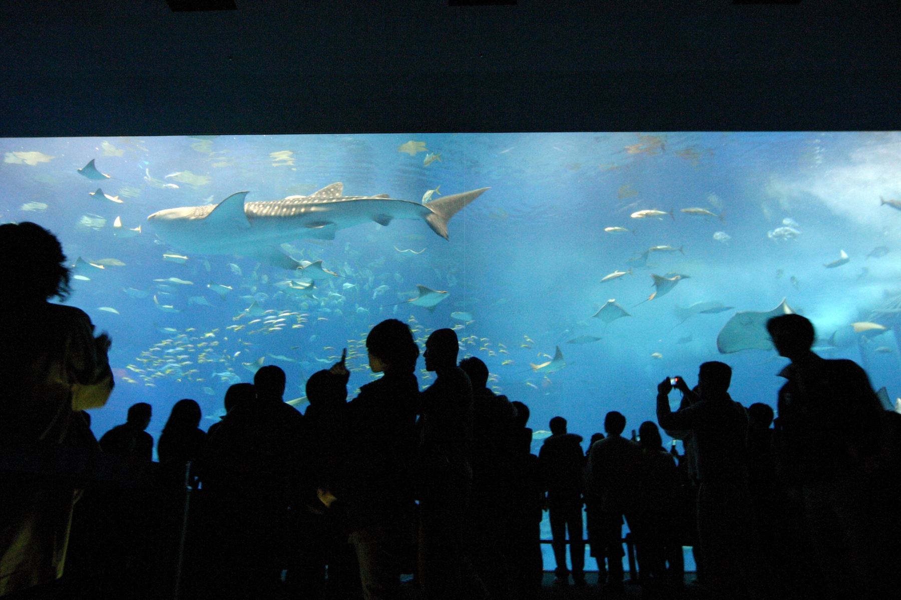 2019名古屋自由行必去】8大名古屋熱門景點和5天行程推薦- Skyscanner台灣