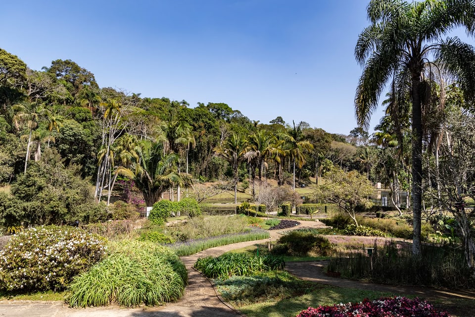 Jardim Botânico - lugares para relaxar em SP