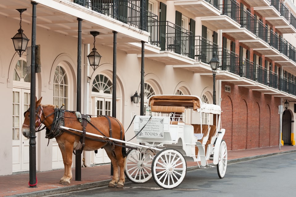 new orleans amerika