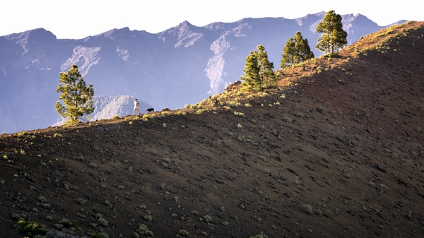 La Palma