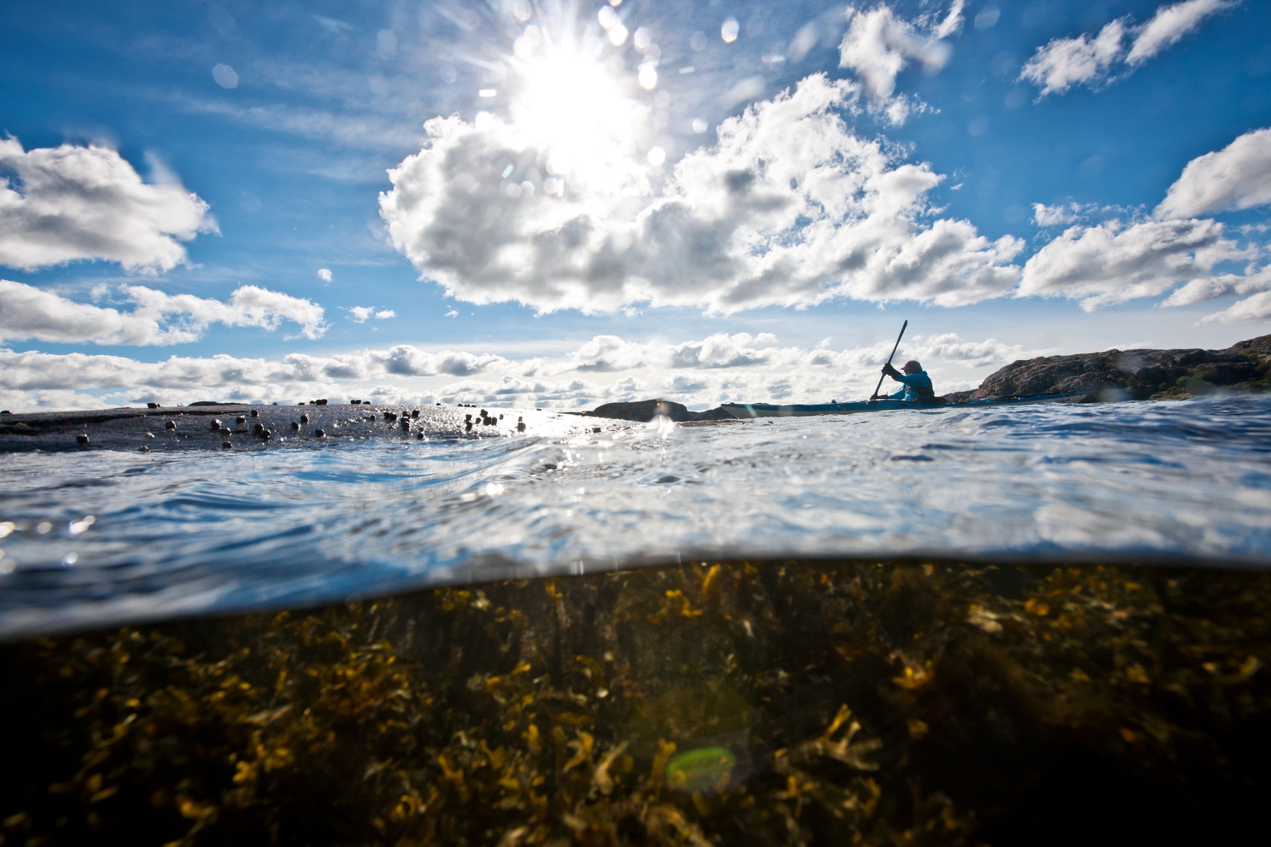 Kayaking in Bohuslän, outside Gothenburg