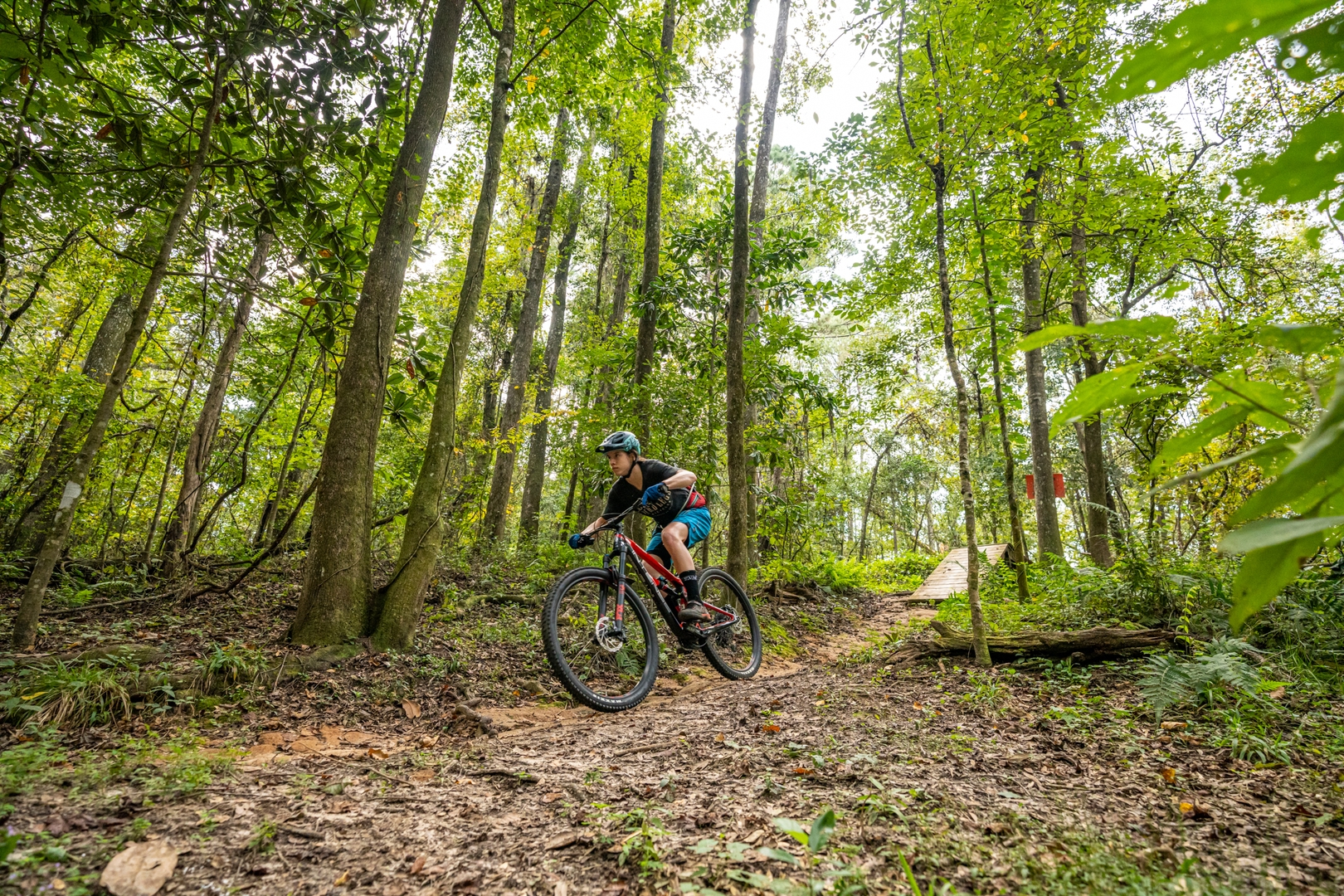 Mountain Bike Outdoor Activities in Florida