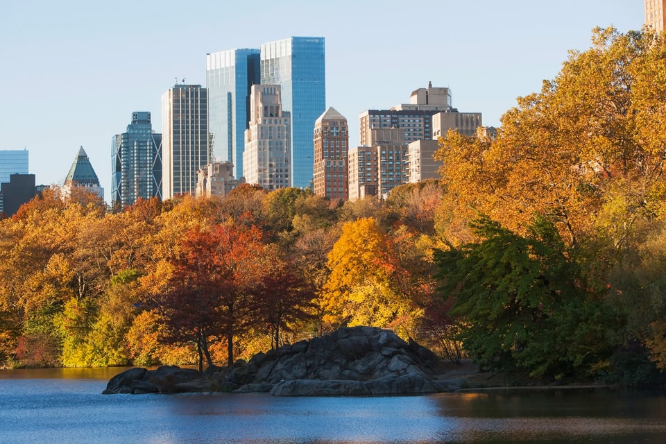 New York, quartiere di Manhattan: Central Park