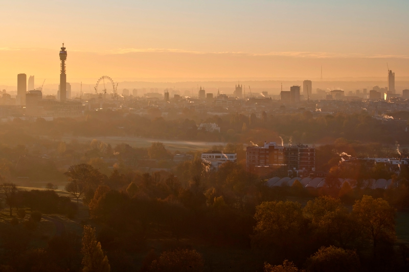atardecer en regent's park londres