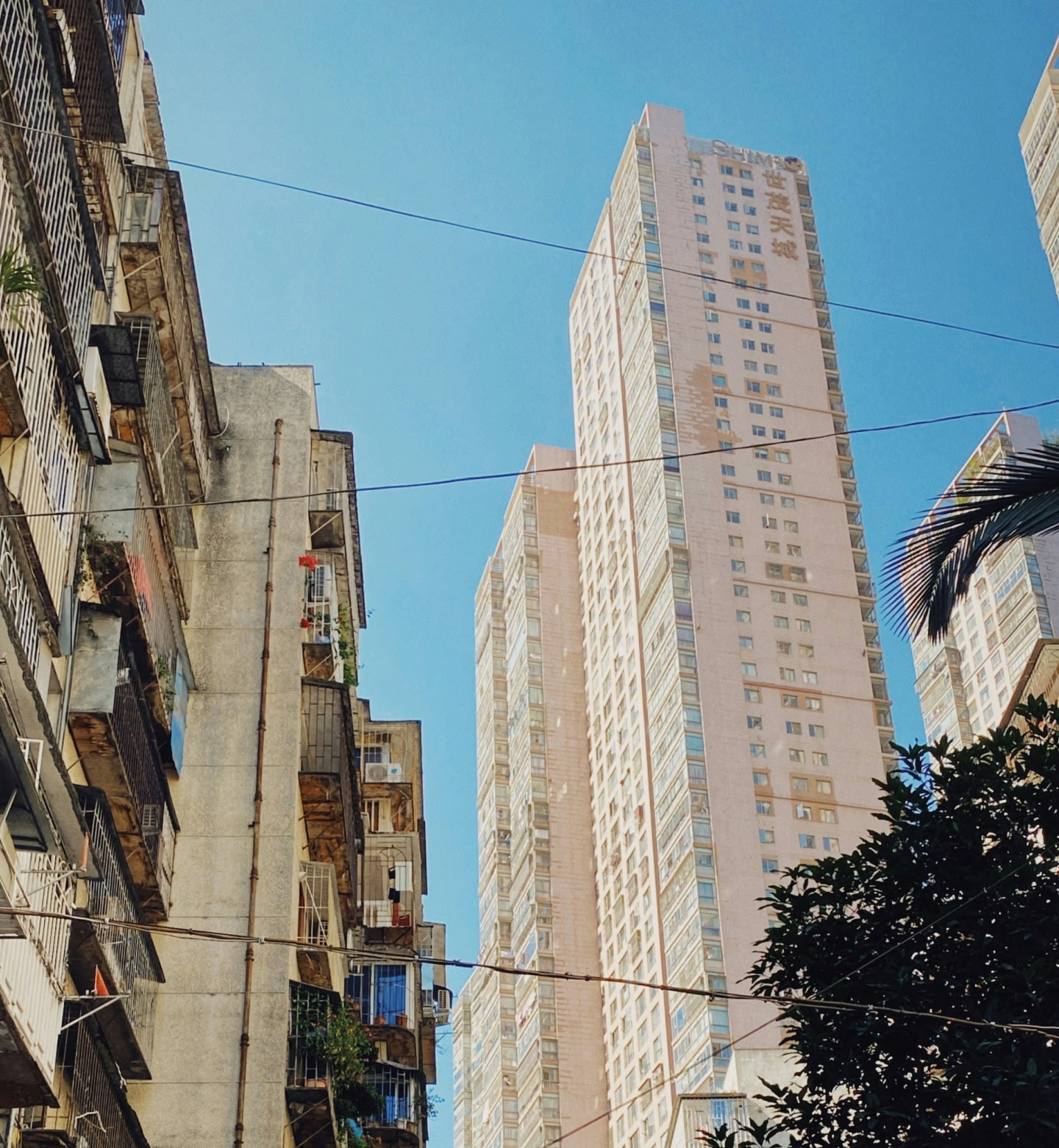 中国・福州の古いアパート群の上にそびえ立つ近代的な高層建築。