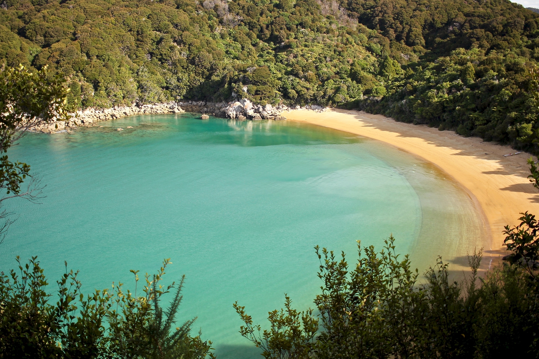 view of beach in Te Puketea Bay in Abel Tasman National Park, New Zealand