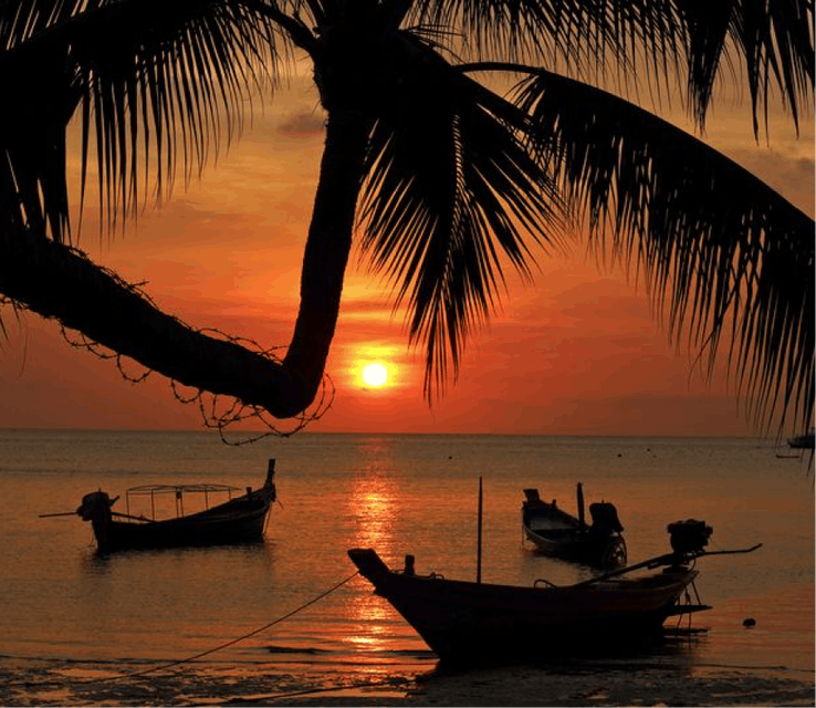 Three long boats elegantly docked along the shoreline, framed by the silhouette of a palm tree, with the sun setting in the distance.