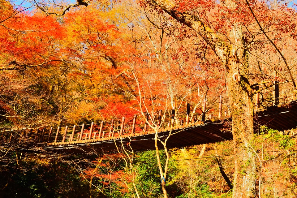 Hananuki Valley, Japan