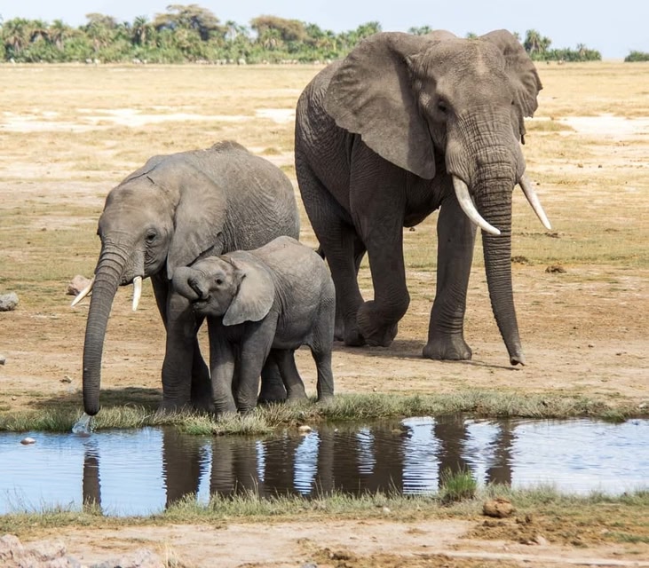 Parque Kruger Sudáfrica