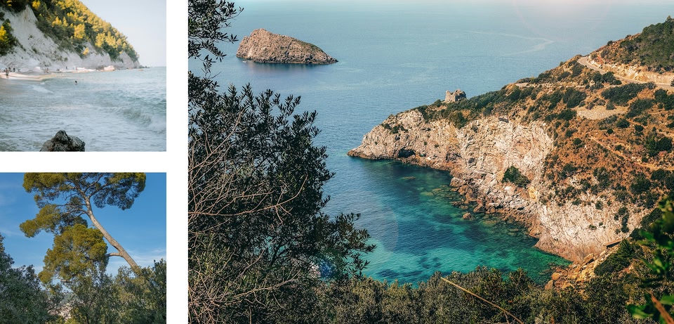 Collage di scene costiere: spiaggia, caletta e alberi.