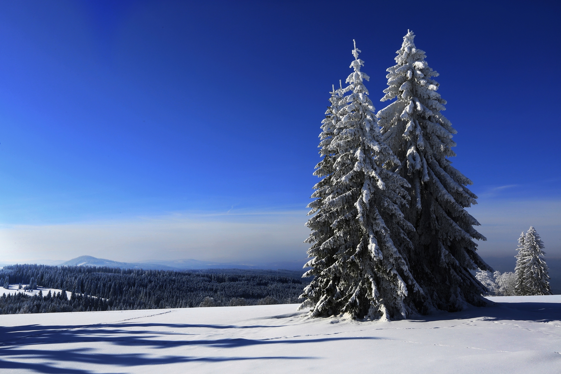 Goedkope wintersportbestemmingen: Tsjechië