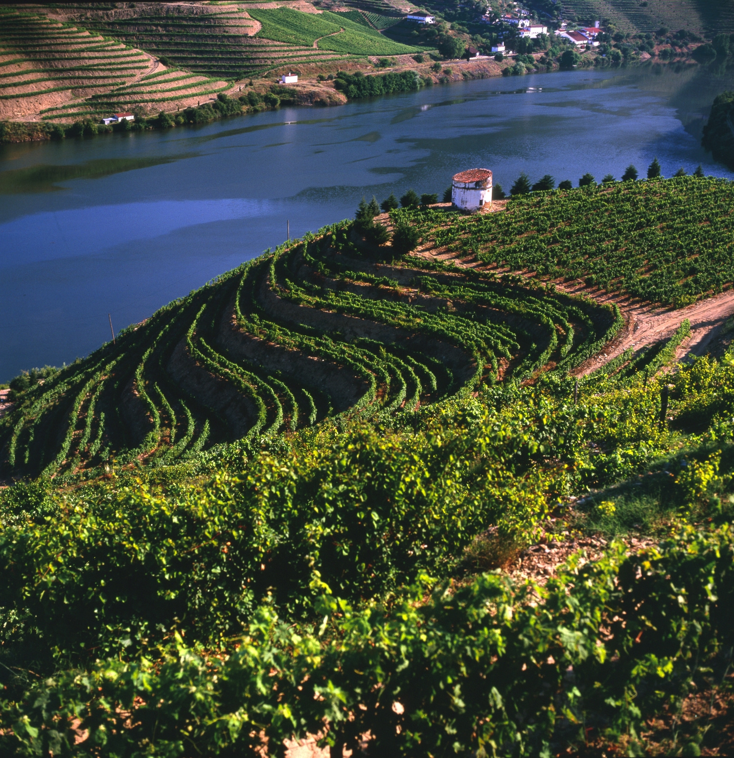Located some distance upstream from Porto, the Douro Valley is a Portuguese wine region centred on the Douro River and protected from coastal influence by mountain ranges. This region has Portugal's highest wine classification as a Denominação de Origem Controlada (DOC).
