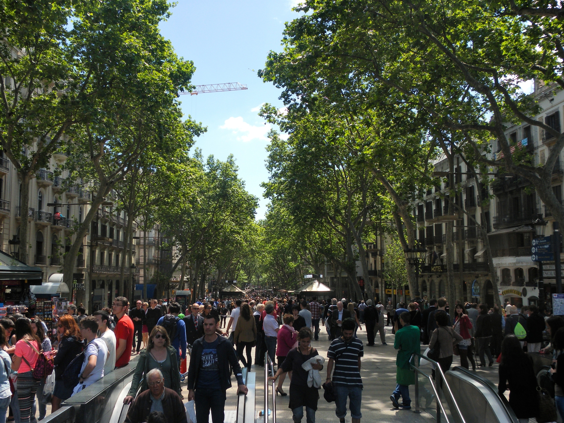 Daytime view of Las Ramblas, crowded with people and lined by trees and buildings