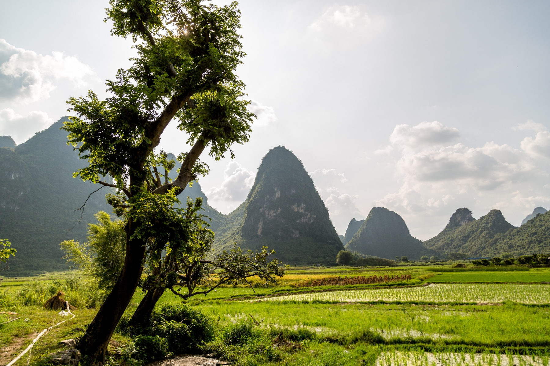 karst peaks in Yangshuo near Guilin, China.