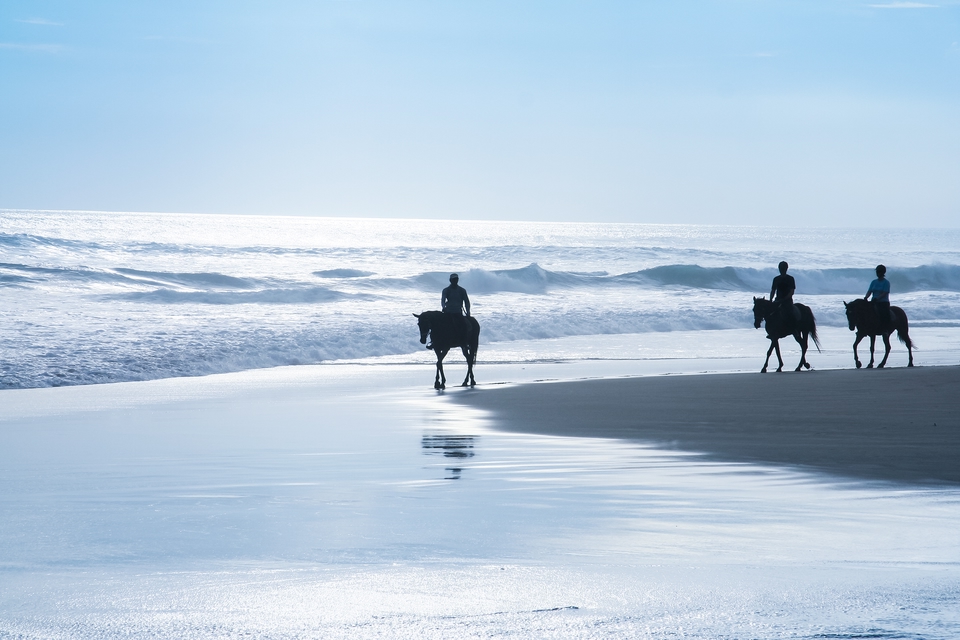Die schönsten Aktivitäten in Hurghada: Reiten am Strand