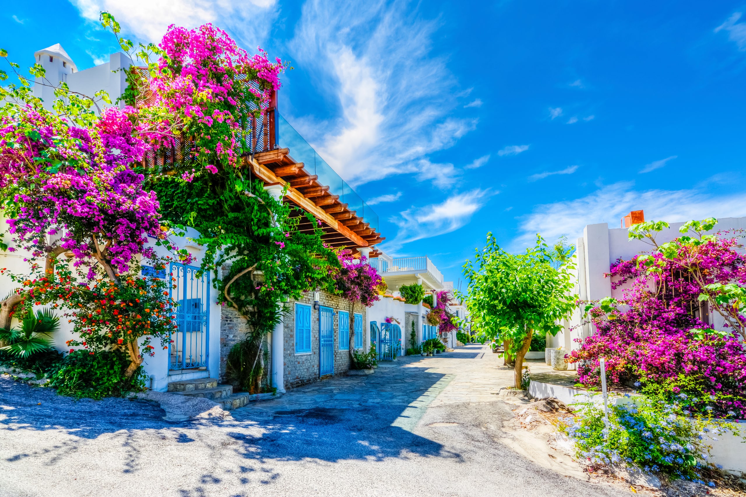 Une rue fleurie en plein cœur de Bodrum