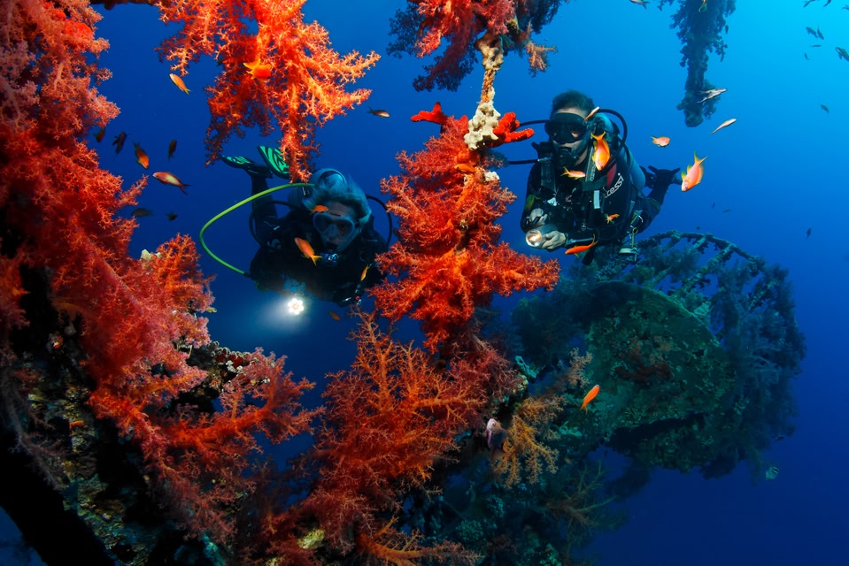 Giordania Aqaba subacquei
