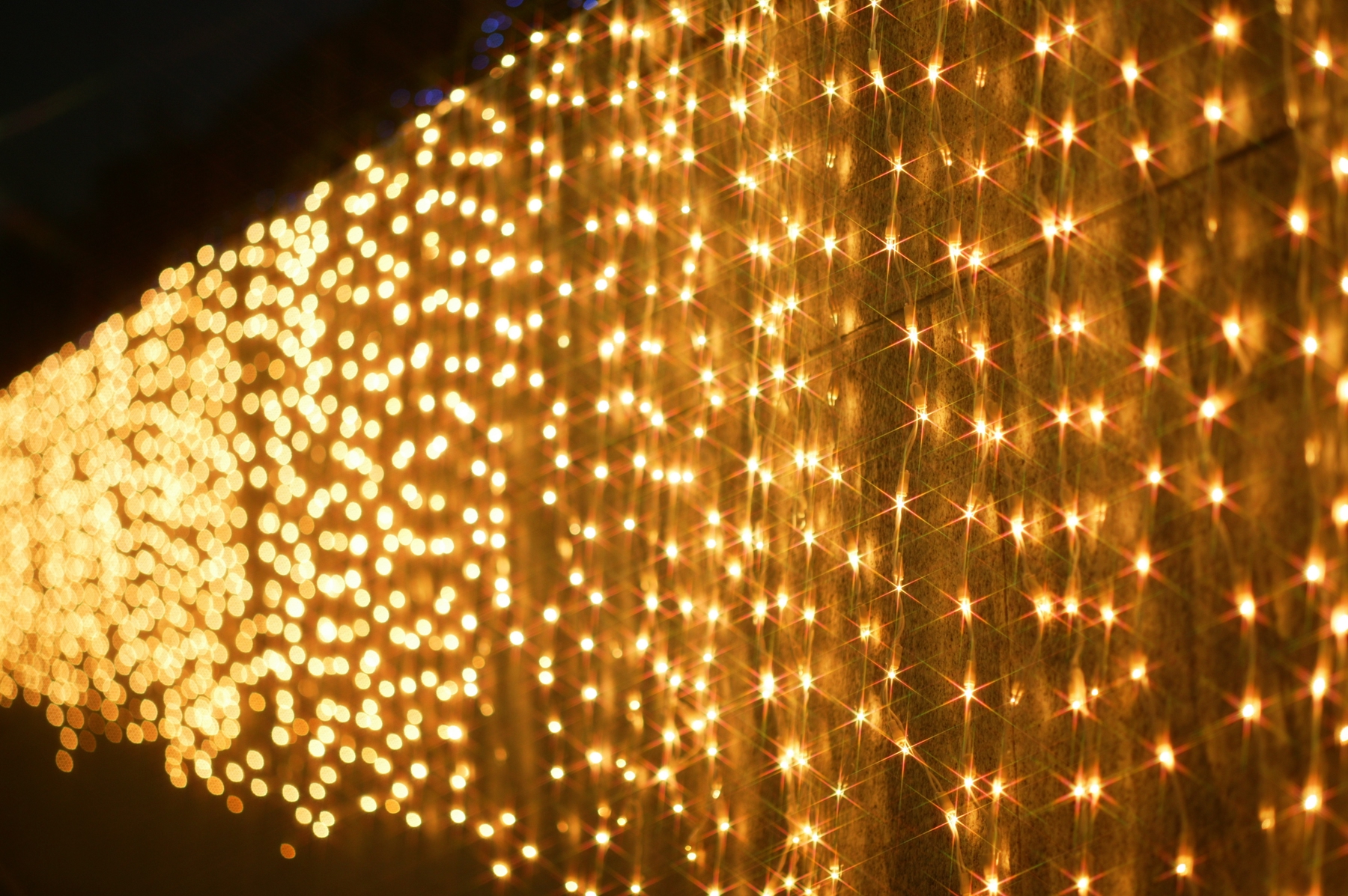 Christmas lights