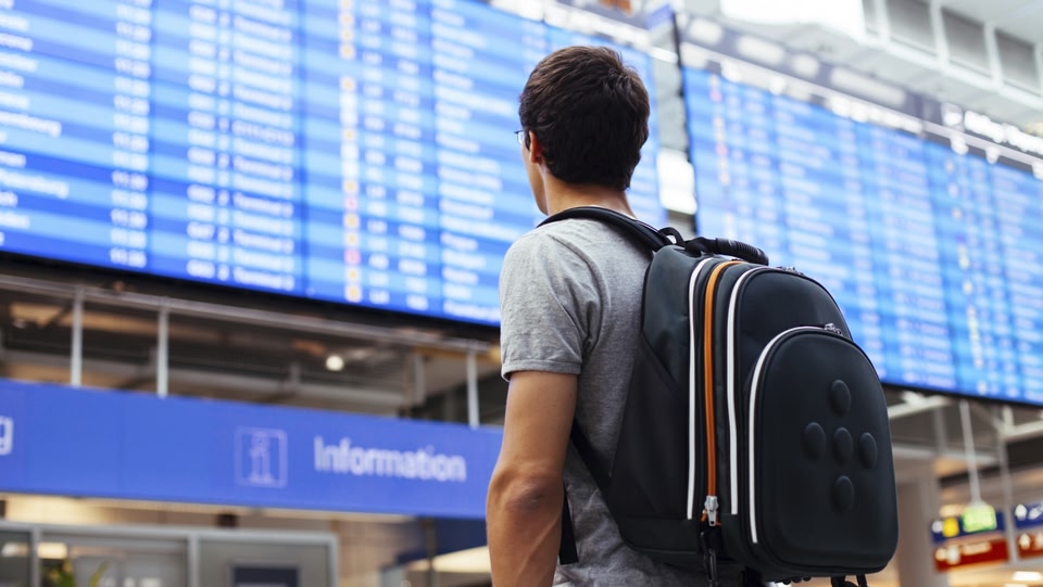 Man looking at departure flight board