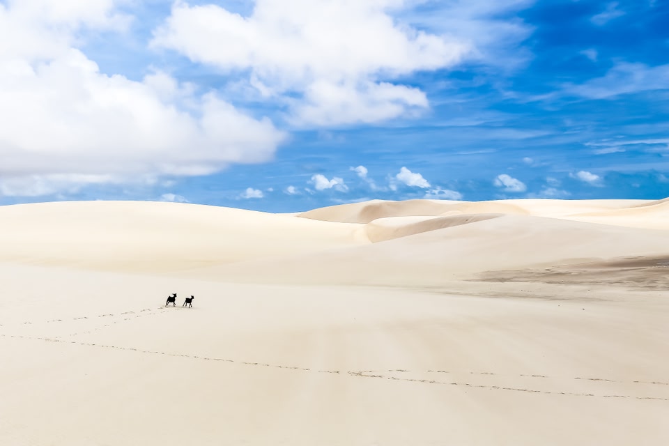 dunas dos Lençóis Maranhenses