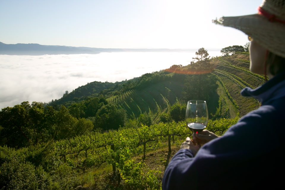 Die schönsten Orte Kaliforniens: Napa Wine Valley, Napa