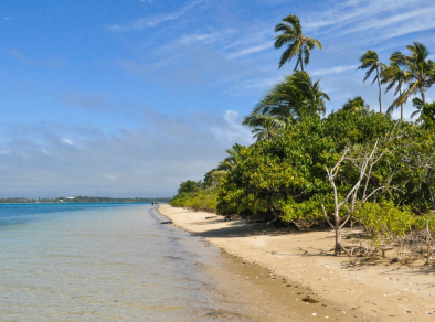 Picture of a beach in Fiji