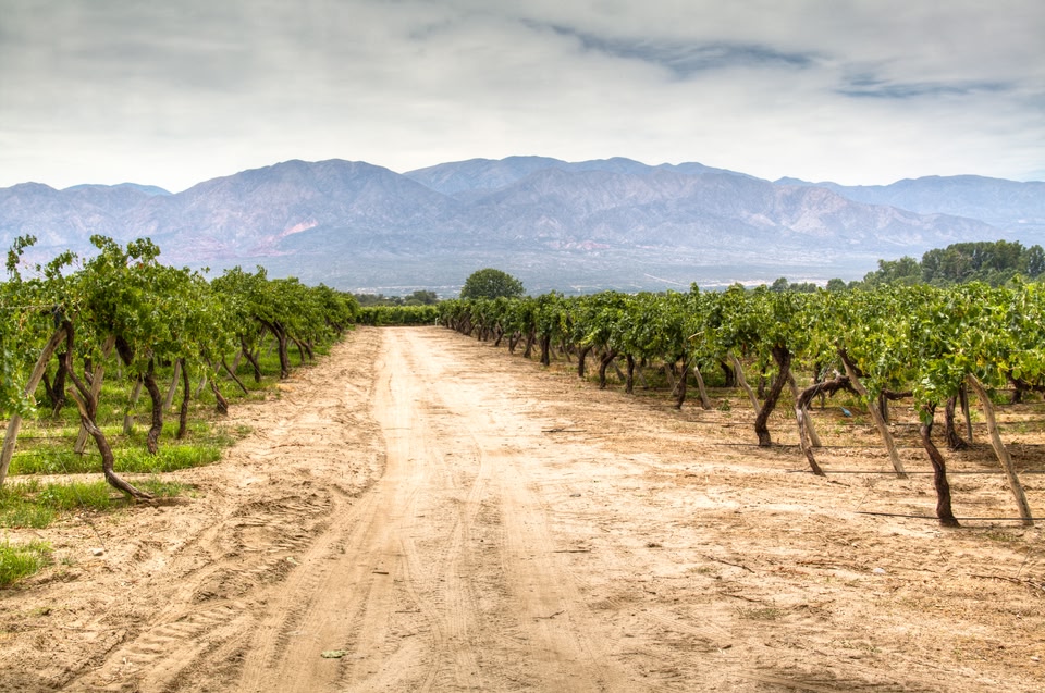 Vinícolas do norte da Argentina